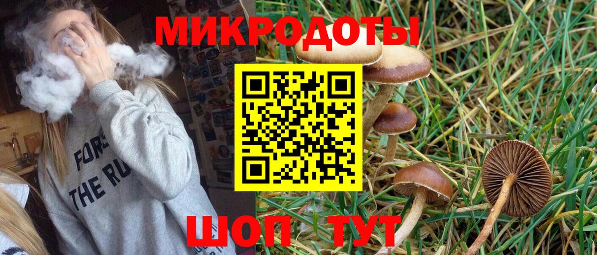 Дмитров  даркнет сайт  Вход с VPN  Галлюциногенные грибы MAGIC MUSHROOMS 