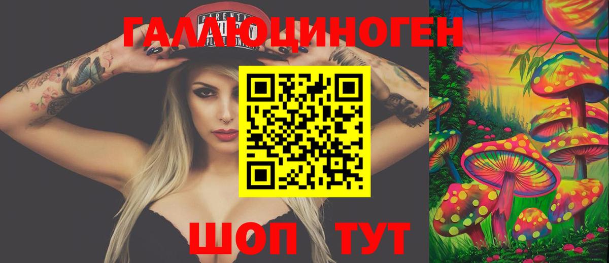 Псилоцибиновые грибы Psilocybe Дмитров